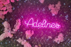 Adelines25-1