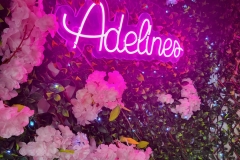 Adelines25-37